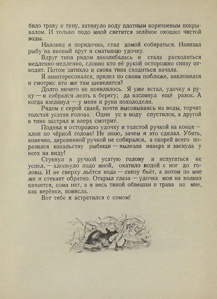 Лето на Корбе - _19.jpg