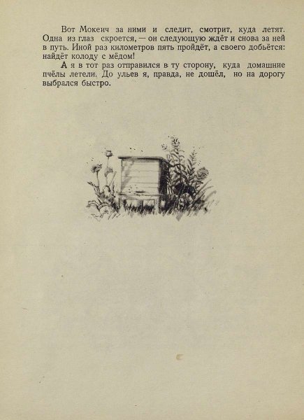 Лето на Корбе - _27.jpg