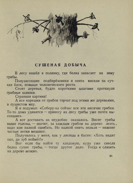 Лето на Корбе - _30.jpg