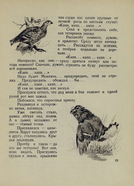 Лето на Корбе - _12.jpg