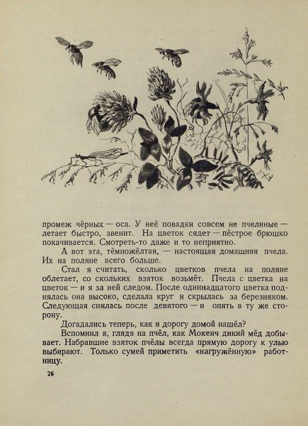 Лето на Корбе - _25.jpg