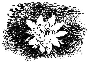 Рассказы и сказки - i_005.png