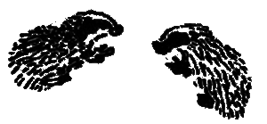 Рассказы и сказки - i_011.png