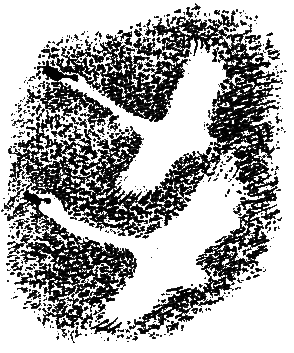 Рассказы и сказки - i_016.png