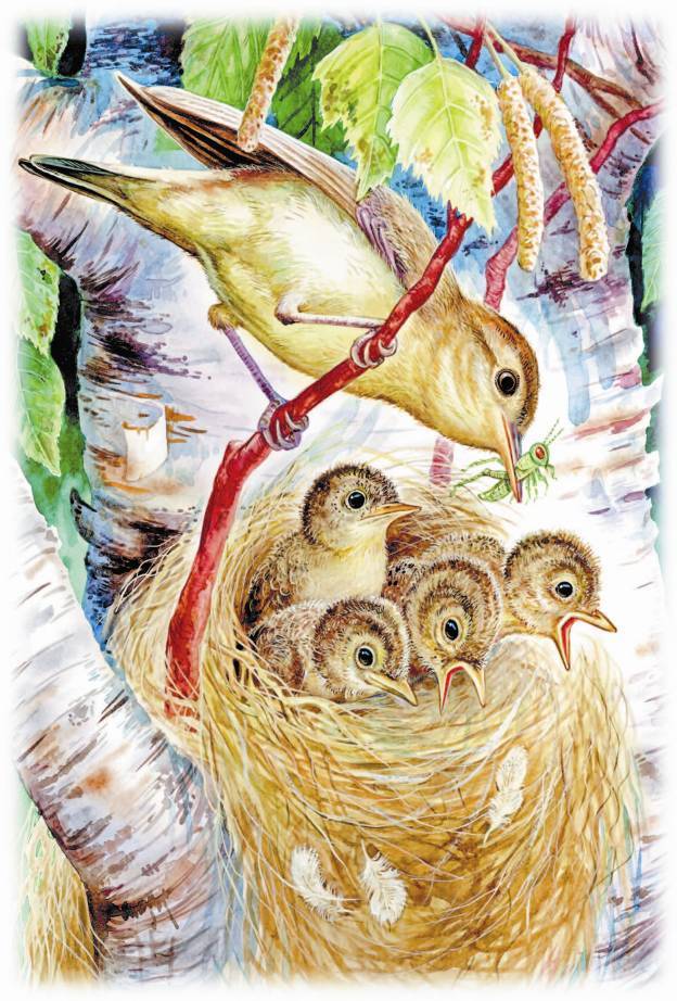 Рассказы о родной природе - _1_02.jpg