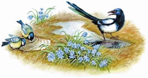 Рассказы о родной природе - _1_03_2.jpg