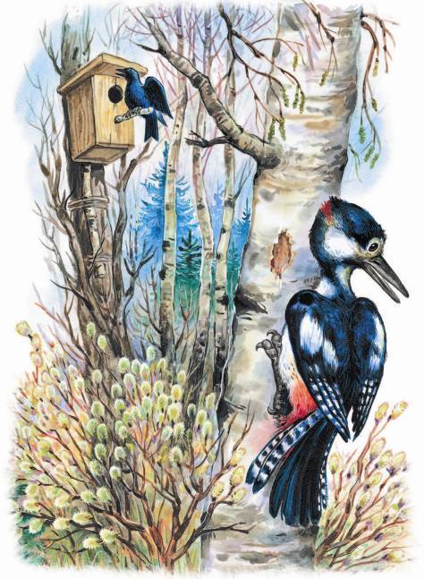 Рассказы о родной природе - _2_01.jpg