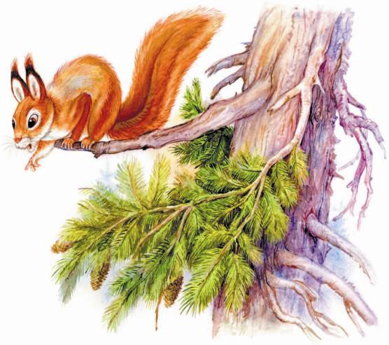 Рассказы о родной природе - _2_06.jpg