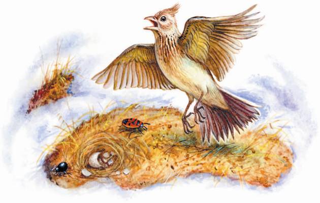 Рассказы о родной природе - _2_08.jpg