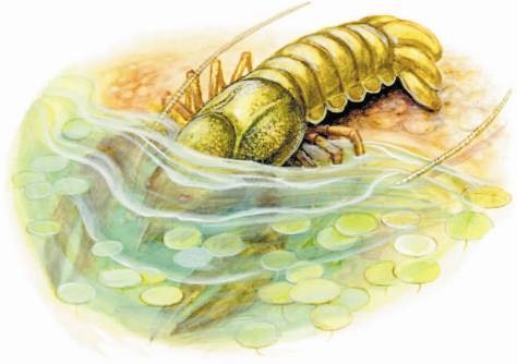 Рассказы о родной природе - _2_13.jpg