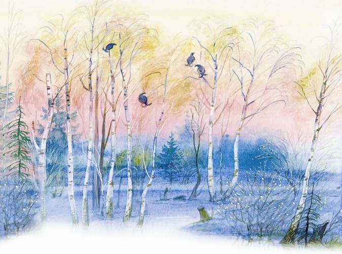 Рассказы о родной природе - _2_14.jpg