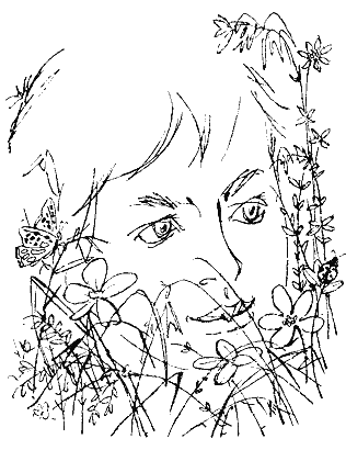 Рассказы прошлого лета - i_001.png