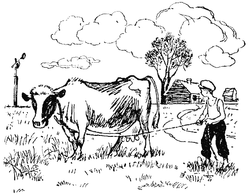 Рассказы прошлого лета - i_003.png