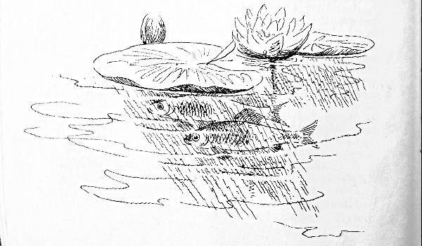 Сказки, найденные в траве - IMG_1850_.jpg