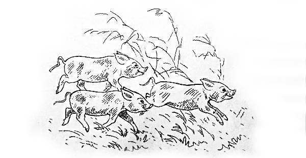 Сказки, найденные в траве - IMG_1888_.jpg