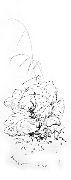 Сказки, найденные в траве - IMG_1890_.jpg