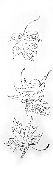 Сказки, найденные в траве - IMG_1891_.jpg