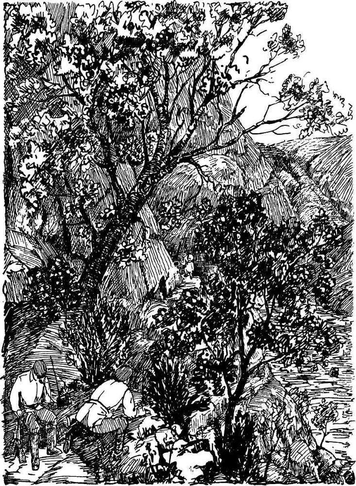 Чекист всегда чекист - i_003.jpg