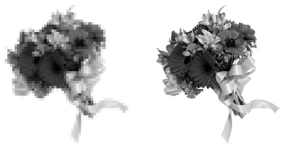 Adobe Photoshop CS3 - i_016.jpg