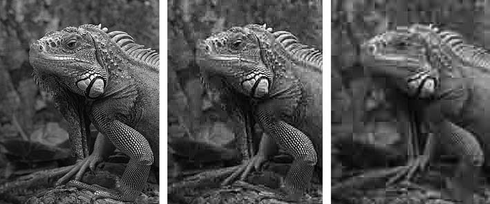 Adobe Photoshop CS3 - i_020.jpg