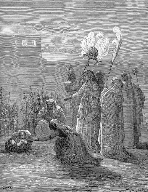 Толковая Библия. Ветхий Завет и Новый Завет - i_010.jpg