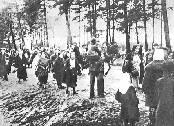 Ленинградский фронт - _22.jpg