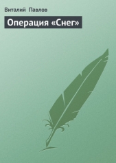 Операция «Снег» - автор Павлов Виталий Григорьевич 