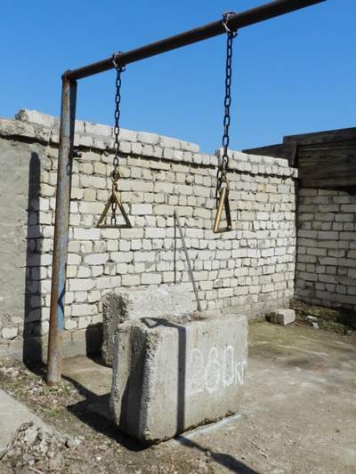 Мегасила мышц груди - i_001.jpg