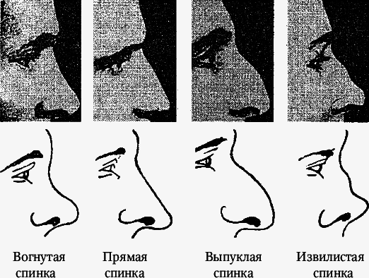 Как распознать преступника - _028_2.png