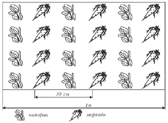 Богатый урожай овощей на вашем участке. В помощь любимым огородникам! - pic_3.png