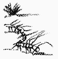 Президент и его министры - i_010.png