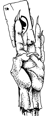 Лагерная живопись, уголовный жаргон - i_006.png