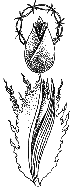  Лагерная живопись, уголовный жаргон - i_016.png