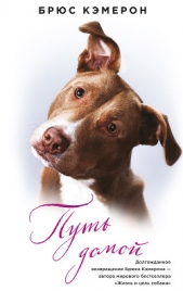 Путь домой - автор Кэмерон Брюс 