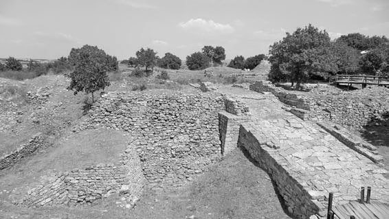 Троянский конь западной истории - i_014.jpg