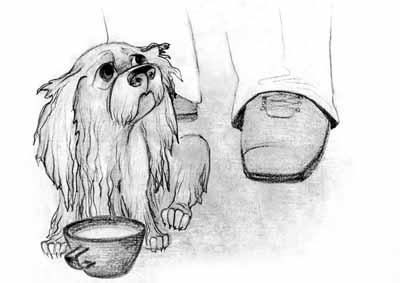 Шел по осени щенок - i_007.jpg