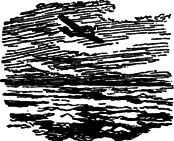 Руал Амундсен - image148.png