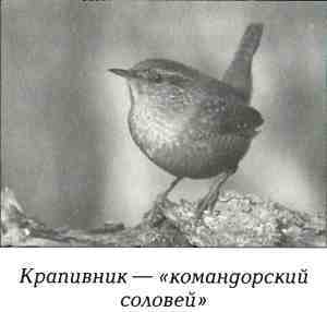 Русская Америка - i_053.jpg