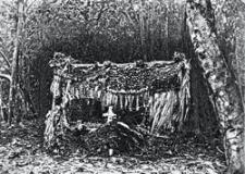 Вокруг Света # 7-2005 (2778) - any2fbimgloader70.jpeg