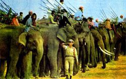 Журнал «Вокруг Света» №01 за 1973 год - TAG_img_cmn_2007_07_19_017_jpg819049