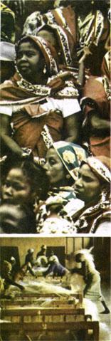 Журнал «Вокруг Света» №01 за 1985 год - TAG_img_cmn_2007_03_15_022_jpg896507