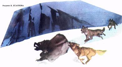 Журнал «Вокруг Света» №01 за 1985 год - TAG_img_cmn_2007_03_15_038_jpg755534