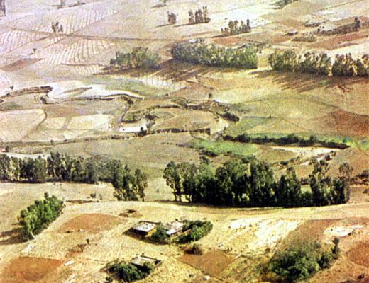 Журнал «Вокруг Света» №01 за 1987 год - TAG_img_cmn_2007_04_08_015_jpg352959