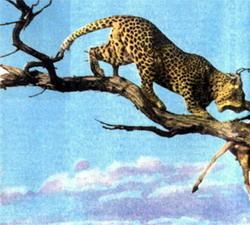 Журнал «Вокруг Света» №01 за 1987 год - TAG_img_cmn_2007_04_08_018_jpg9684