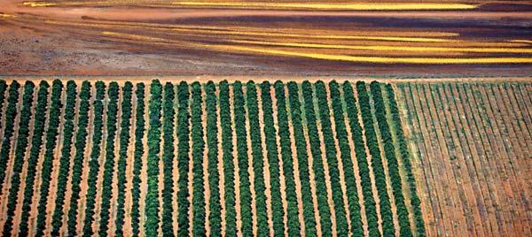 Журнал «Вокруг Света» №01 за 2007 год - TAG_img_cmn_2007_03_06_078_jpg102417