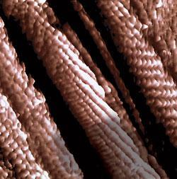 Журнал «Вокруг Света» №01 за 2007 год - TAG_img_cmn_2007_03_06_083_jpg456831