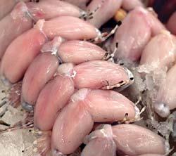 Журнал «Вокруг Света» №01 за 2007 год - TAG_img_cmn_2007_03_07_082_jpg968653