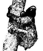 Журнал «Вокруг Света» №01 за 2008 год - TAG_img_cmn_2008_01_10_020_jpg397913