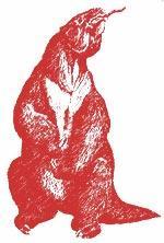 Журнал «Вокруг Света» №01 за 2008 год - TAG_img_cmn_2008_01_10_022_jpg885977