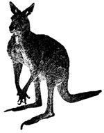 Журнал «Вокруг Света» №01 за 2008 год - TAG_img_cmn_2008_01_10_024_jpg918287